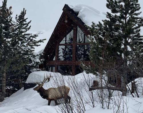 Steamboat Springs Casa | Moose Meadows Lodge - Huge Views, Great Room, Game Room, Theater
