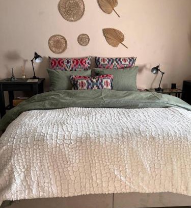 Drama Casa | Mosquito Guest House 2