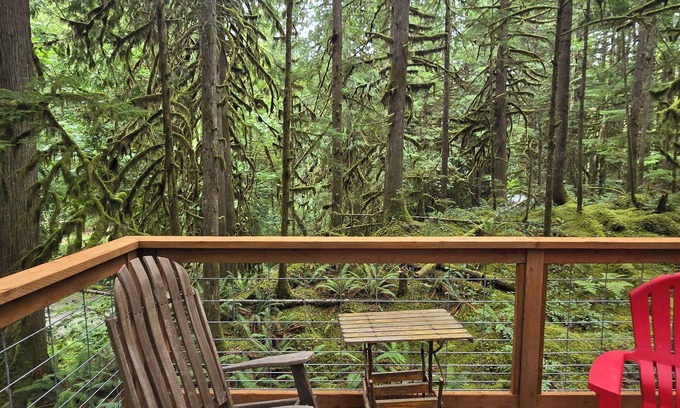 Marblemount Cabina | Moss Top Cabin: cozy off-grid retreat