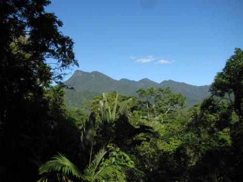 Mossman Cama Y Desayuno | Mossman Gorge Bed and Breakfast