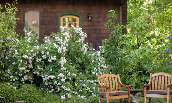 Garden Home-Whitford Cabaña | Cubiertas de musgo de los adoquines: Cottage romántica en un entorno arbolado