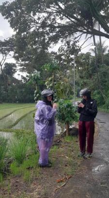 Banjarasri Otro | Moto driver tour Borobudur , Rice terace, sacred waterfall