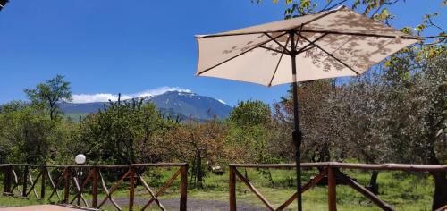 Maletto Casa | Mount Etna Chalet