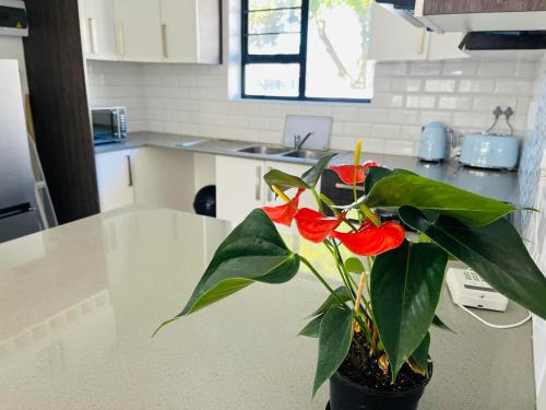 Port Elizabeth Apartamento | Mount Pleasant Suites