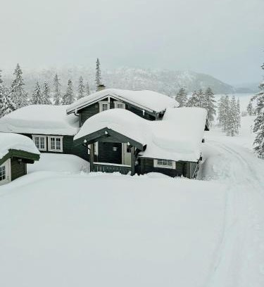 Hjartdal Casa | Mountain Cabin With Views Of Bonsenås