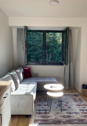 Bjelasnica Apartamento | Mountain Dream