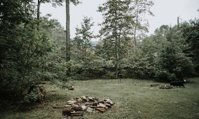 Ridgecrest Cabaña | Mountain getaway in Black Mtn/Close to Asheville - PET FRIENDLY