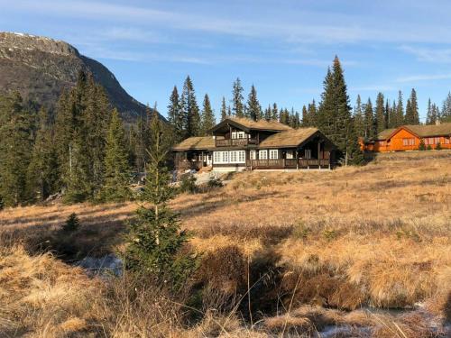 Fla Municipality Casa | Mountain Home At Haglebu With Activities
