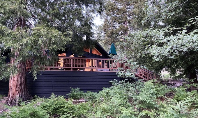 Fern Valley Cabina | Mountain mod cabin w/ EV charging - Fernwood