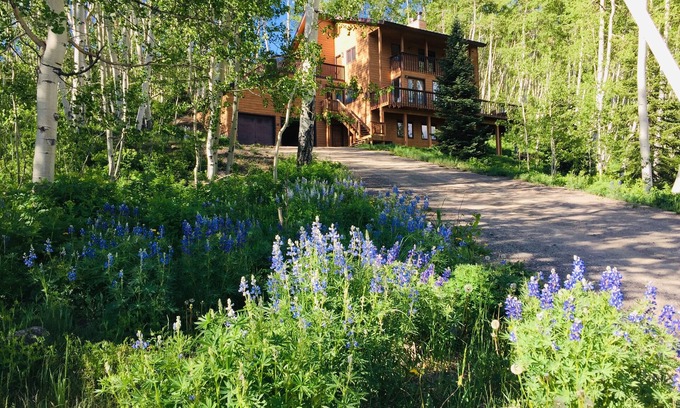 Crested Butte Apartamento | Mountain Modern- NEW- Wildflowers, backs up to Snodgrass Trail & VIEWS of Mt CB