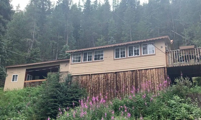 Pinecliffe Cabina | Mountain Retreat, Private trout creek, Fast WiFi