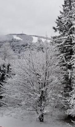 Stoneham Casa | Mountain view chalet avec vue sur la montagne