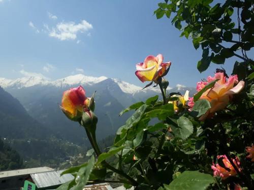 Tosh Casa | Mountain View guesthouses &cafe