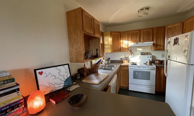 Leadsville Apartamento | Mountain View