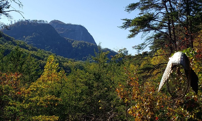 Cleveland Cabina | Mountains-Lakes-Parks-Winery-Privacy-Serenity