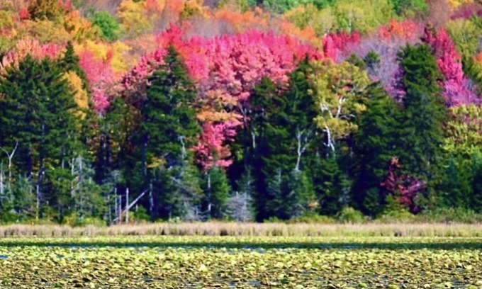 Mount Holly Casa | MT Holly Ski/lake house hideaway(Avail. Daily, weekends & seasonally Dec-April)