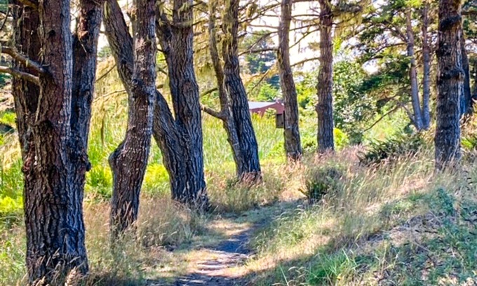 Manchester Casa | Mtn-view dog-friendly home with private hot tub, fireplace, patio, & grill