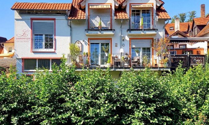 Erbach Casa | Muemling Apartment 1