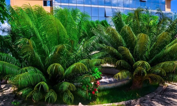 Kunduchi Hotel | Muhako Hotel