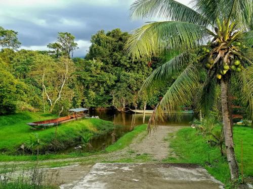 Mulu Casa | Mulu Diana Homestay