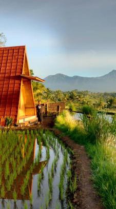 Kecamatan Montong Gading Casa | Muni's Terrace Bungalow