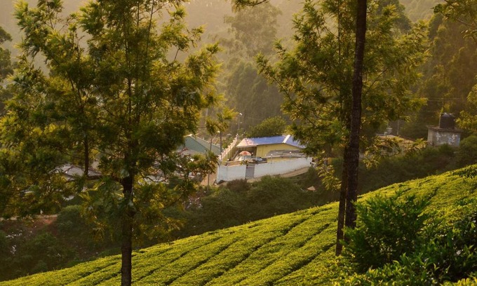 Devikolam Casa | Munnar valley view