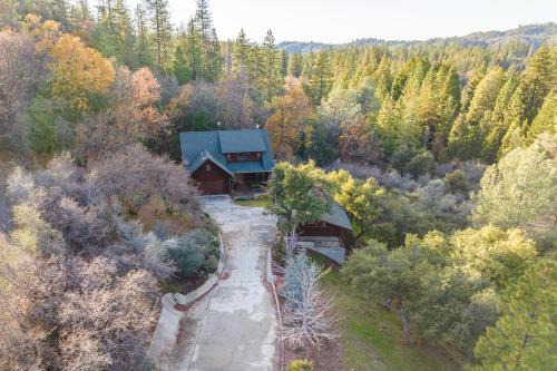 Forest Meadows Casa | Murph Lodge