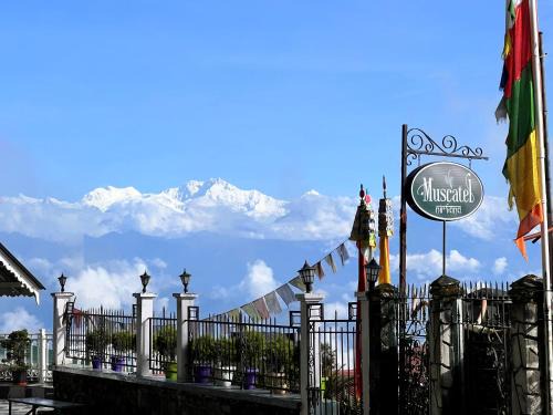 Darjeeling Hotel | Muscatel Nirvana – At The Mall Road