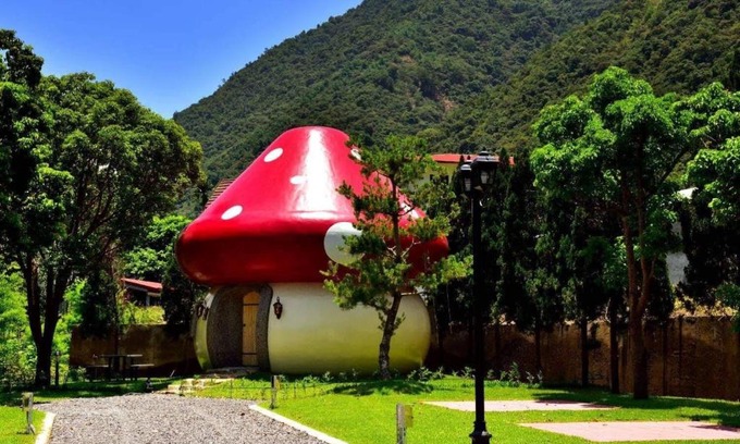 Puli Cama Y Desayuno | Mushroom Forest Guesthouse Camping Site