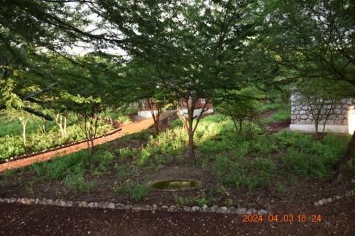 Mto wa Mbu Cama Y Desayuno | Mwi Village House