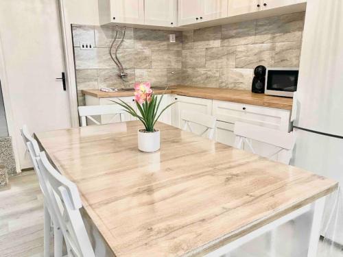 Pag Apartamento | My house in Pag