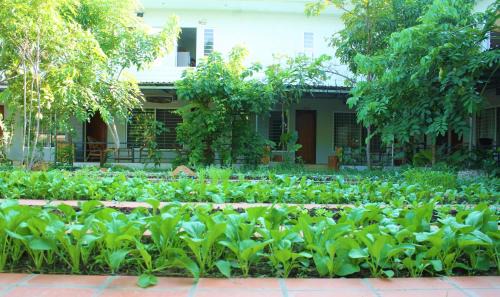 Kampot Casa | My Parents Guesthouse