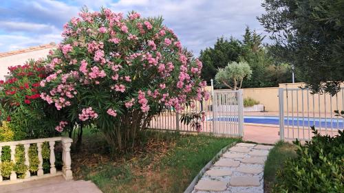 Villalbe Casa | My Quiet Place near Carcassonne