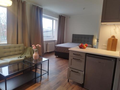 Pelguranna Apartamento | MYROOM-2 near the center and the Stroomi beach