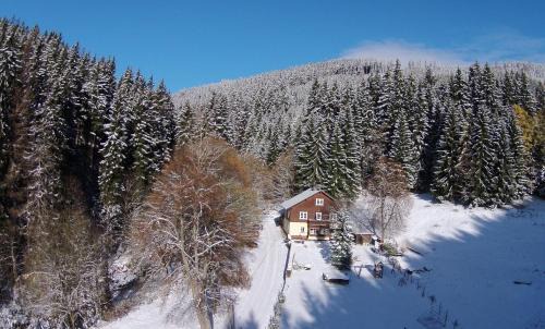 Cerny Dul Casa | Myslivna