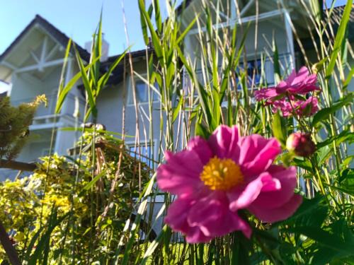 Regau Apartamento | Nähe Traunsee-Attersee OGO