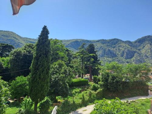 Skaljari Apartamento | N&B Apartment Kotor