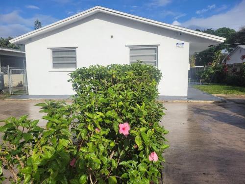 Hollywood Apartamento | N61