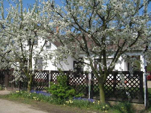 Nagykoru Apartamento | Nagy Vendégházak