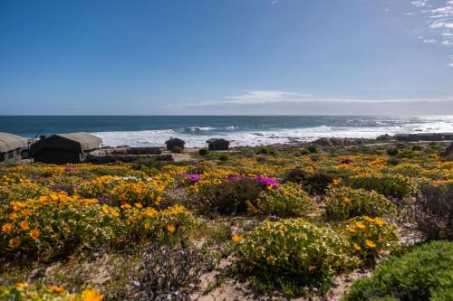 Kamiesberg Otro | Namaqua Flowers Beach Camp