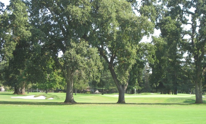 Napa Condominio | Napa Charm en Silverado Course; Spa, colinas, bodegas cercanas (estancia más corta está bien)