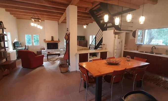 Aleimmatades Casa | Napoleon's family country house
