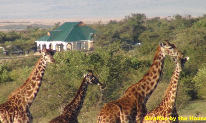 Talek Casa | Narasha Homestay - Maasai Mara