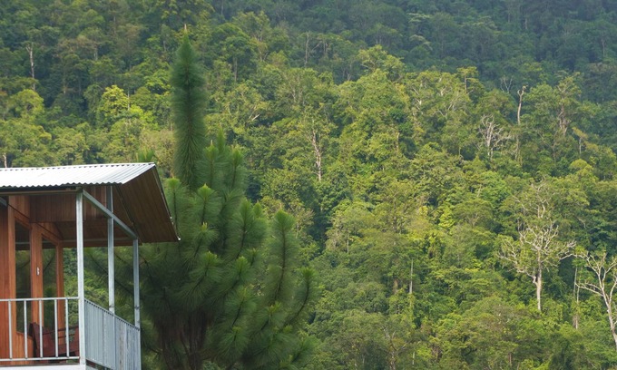 Barú Cabina | Native Baru : Morpho Cabin