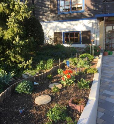 Steina Apartamento | Natur pur mit Fernblick für Wanderfreunde