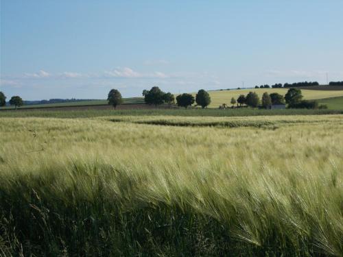 Uslar Apartamento | Natur und Ruhe - für Ruhe suchenden