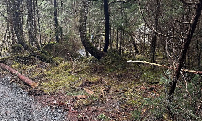 Bear Creek Alquiler De RV | Natural scenic campground in Seward