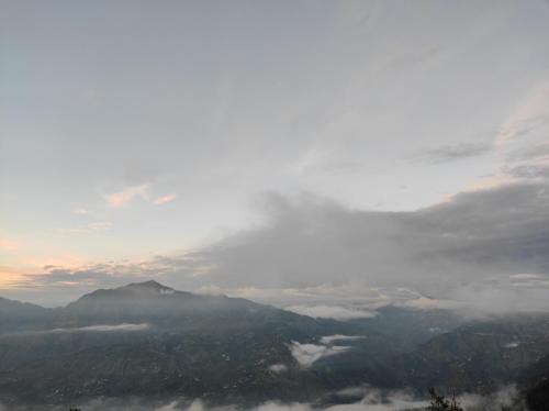 Mashobra Casa | Nature Heaven Homestay