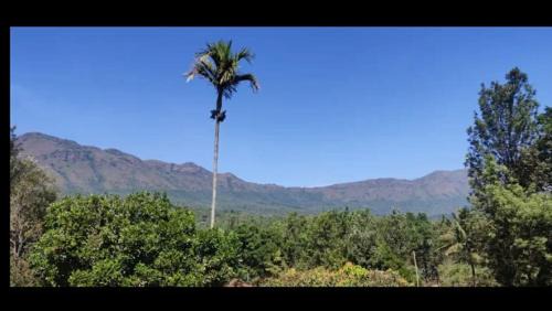 Chikkamagaluru Casa | Nature Inn stay