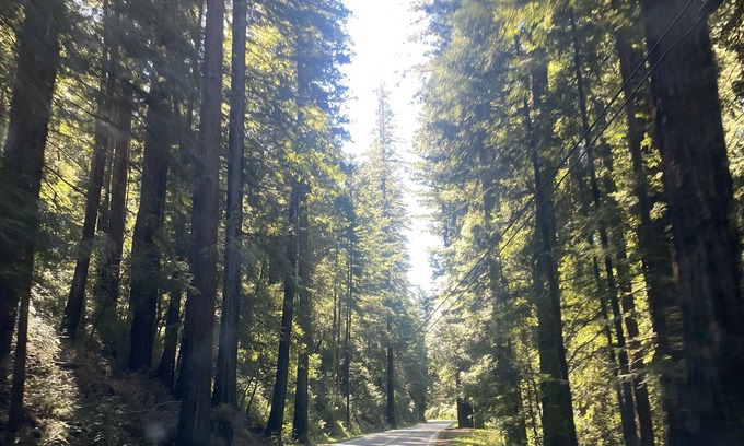 Garberville Casa | Nature Lovers Retreat